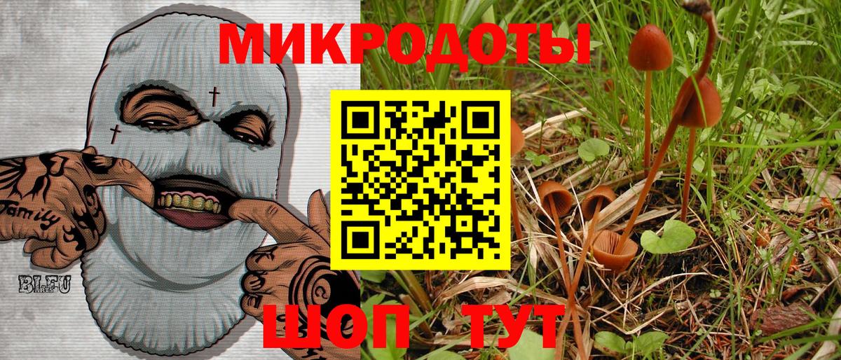 Псилоцибиновые грибы Psilocybine cubensis Озёры
