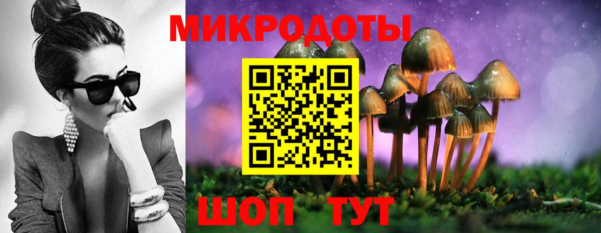 Озёры  Галлюциногенные грибы GOLDEN TEACHER  Галлюциногенные грибы прущие грибы  Вход с VPN 